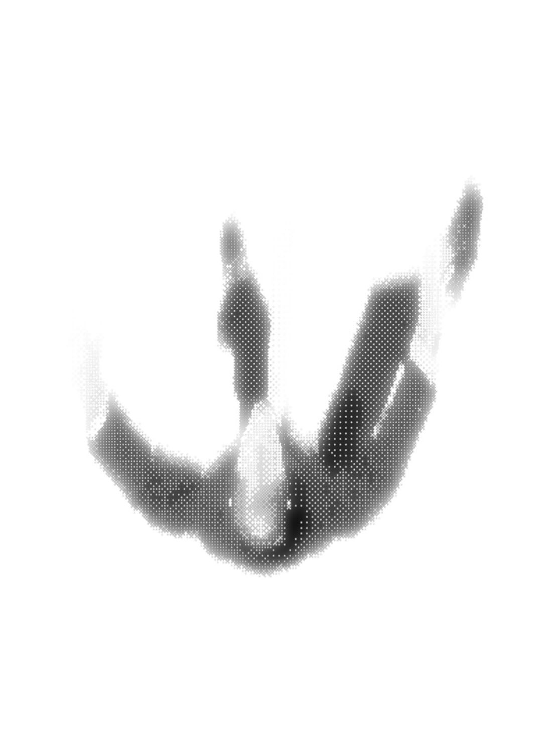 Horse Vision