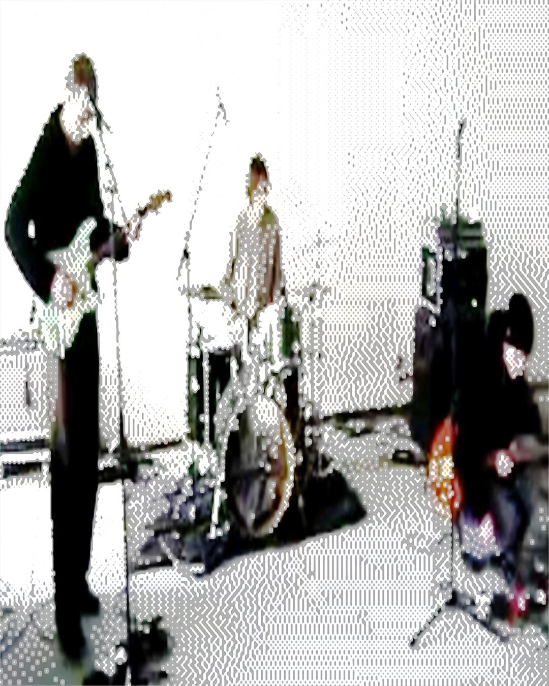 Horse Vision